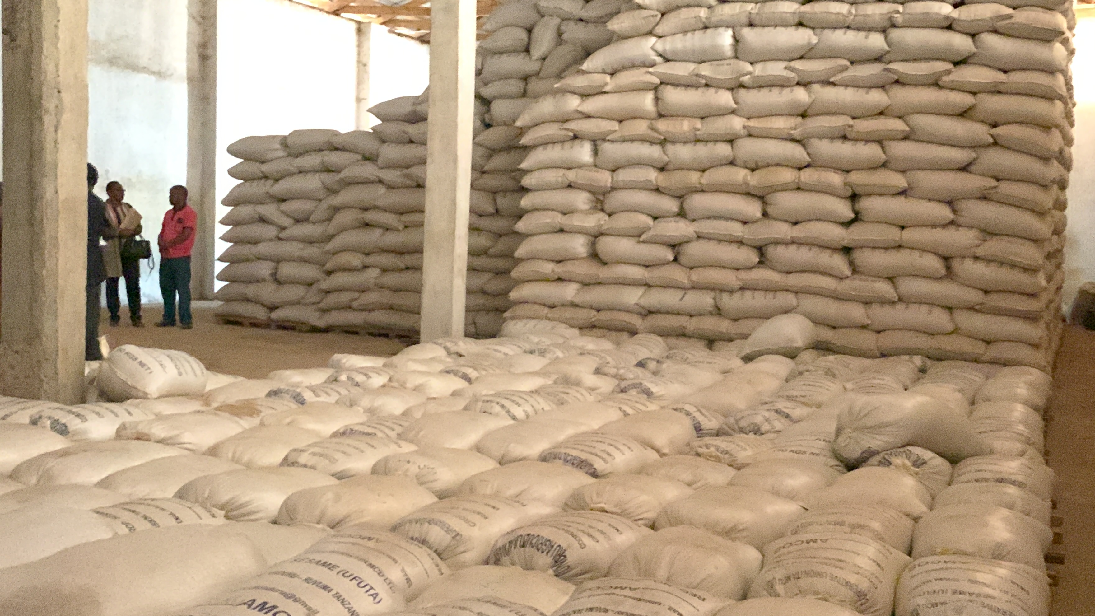 Youth in Agriculture